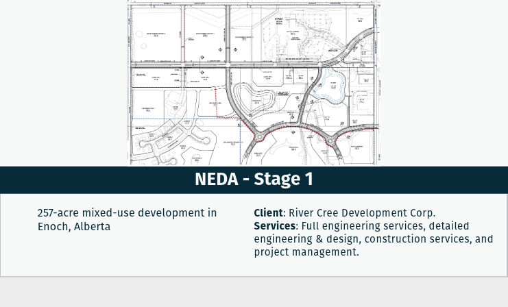 NEDA Stage 1